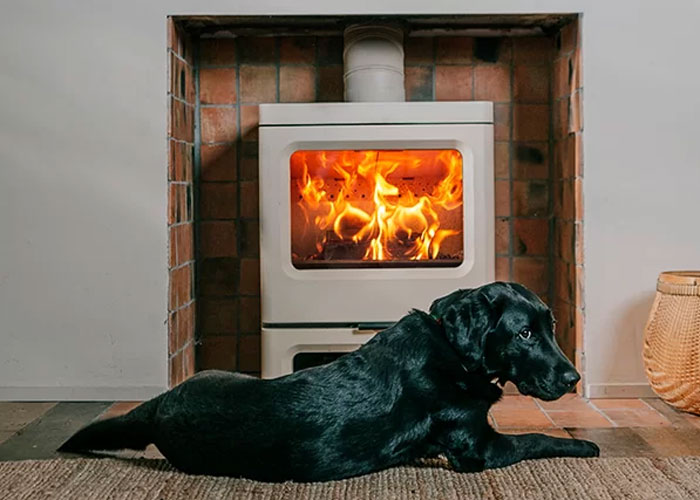Charnwood Skye E700 Wood Burning Stove in a wall with a dog laying in front.